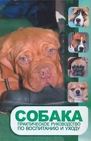 Купить Собака. Практическое руководство по воспитанию и уходу — Фото №1