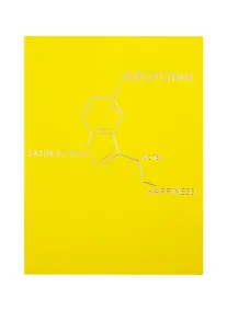 Купить Записная книжка А6 80л лин. "Molecule. Serotonine" интеграл.переплет, Soft Touch, тиснение серебр.фольгой — Фото №1
