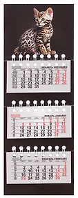 Купить Календарь квартальный 2026г 82*230 "Котенок на черном" на магните — Фото №1