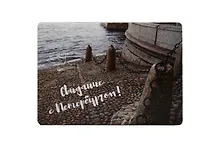 Купить Магнит СПб Свидание с Петербургом (чайка и набережная) (фото) (9х6,5) (винил) (МВ2020-028) — Фото №1