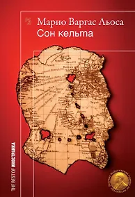 Купить Сон кельта — Фото №1