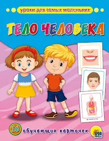 Купить Тело человека: обучающие карточки — Фото №1