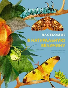 Купить Насекомые в натуральную величину — Фото №1