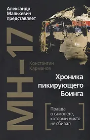 Купить MH-17. Хроника пикирующего Боинга: правда о самолете, который никто не сбивал — Фото №1
