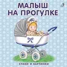 Купить Книжки-картонки. Малыш на прогулке — Фото №1