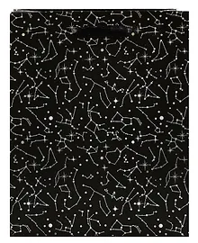 Купить Пакет А5 23*18*10 "Созвездия " нейтр., бум.мат — Фото №1