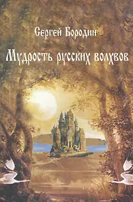 Купить Мудрость русских волхвов / (мягк) (Наследие древних Русов). Бородин С. (Волошин) — Фото №1