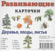 Купить Деревья, плоды, листья — Фото №1