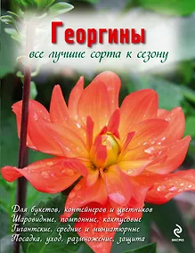 Купить Георгины (Вырубка. Цветы в саду и на окне) — Фото №1