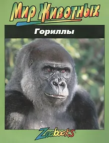 Купить Гориллы — Фото №1