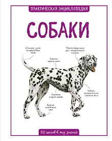 Купить Собаки — Фото №1