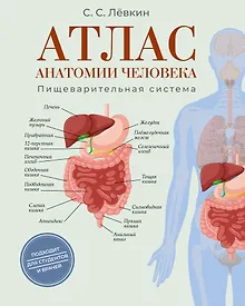 Купить Атлас анатомии человека. Пищеварительная система — Фото №1