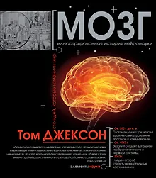 Купить Мозг — Фото №1