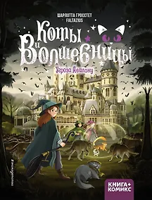 Купить Коты и волшебницы. Том 2. Угроза Авалону — Фото №1