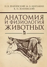 Купить Анатомия и физиология животных. Учебник — Фото №1