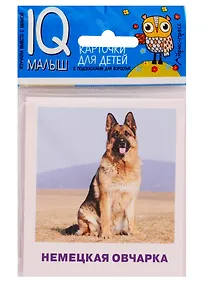 Купить Умный малыш. Породы собак. Набор карточек для детей — Фото №1