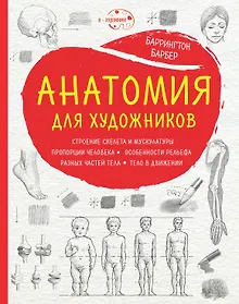 Купить Анатомия для художников — Фото №1
