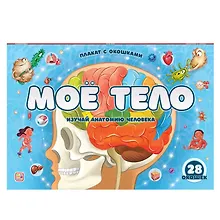 Купить Мое тело: плакат с окошками — Фото №1