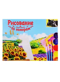 Купить Набор для раскрашивания по номерам ТМ Рыжий Кот Холст Пантера 30х40см Х-9108 — Фото №1