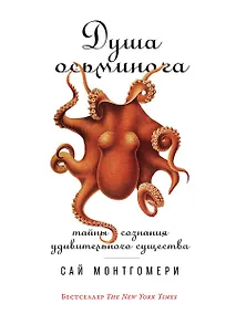 Купить Душа осьминога: Тайны сознания удивительного существа — Фото №1