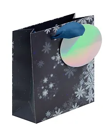 Купить Пакет А6 14.5*11.5*6 "Снежинка" НГ, бум.мат.ламинат — Фото №1