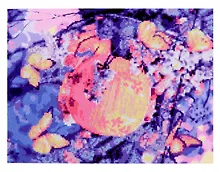 Купить Алмазная мозаика (частичное заполнение) "Китайский фонарик", 30 х 40 см — Фото №1