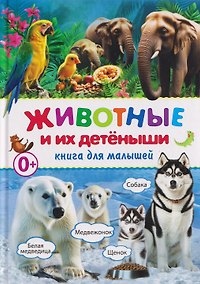Купить Животные и их детёныши. Книга для малышей — Фото №1