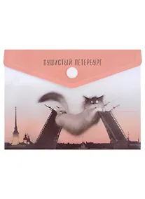 Купить Папка-конверт А6 на кнопке СПб "Кот, Дворцовый мост, Петропавловская крепость" — Фото №1