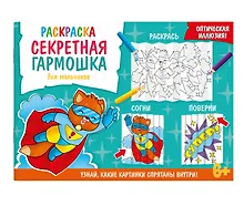 Купить Секретная гармошка. Для мальчиков — Фото №1