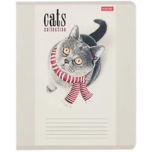Купить Тетрадь в клетку Hatber, "Кототерапия", 12 листов, в ассортименте — Фото №1