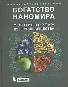 Купить Богатство наномира. Фоторепортаж из глубин вещества — Фото №1