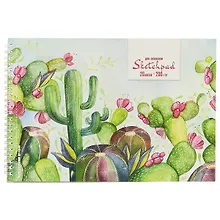 Купить Скетчбук для акварели «Цветущие кактусы» 20 листов, А4 — Фото №1