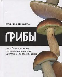 Купить Грибы — Фото №1