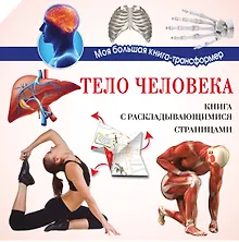 Купить Тело человека — Фото №1