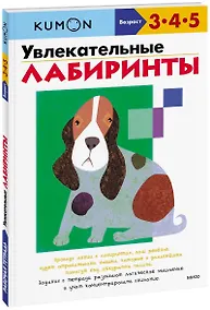 Купить Увлекательные лабиринты — Фото №1
