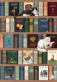 Купить Блокнот. Книжный шкаф. (А5, твердая обложка, 64 л.) — Фото №1