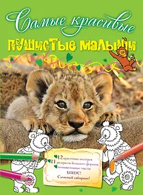 Купить Пушистые малыши — Фото №1