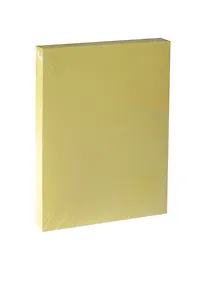 Купить Бумага для пастели А4 "Iris Vivaldi" 240гр/м2, №03 светло-желтый, Canson — Фото №1