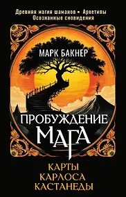 Купить Пробуждение Мага. Карты Карлоса Кастанеды — Фото №1