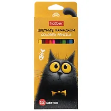 Купить Карандаши цветные 12цв "Пушистый философ" к/к, подвес — Фото №1