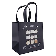 Купить Пакет А6 14,5*14,5*10 "Neko" нейтр., бум.мат.ламинат — Фото №1