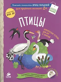 Купить Птицы — Фото №1