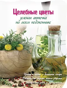 Купить Вырубка.Зеленая аптека на моем подоконнике — Фото №1