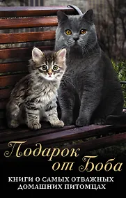 Купить ПОДАРОК ОТ БОБА: Книги о самых отважных домашних питомцах — Фото №1