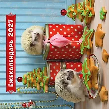 Купить Ёжекалендарь. Прянички в глазури. Календарь настенный на 2027 год (300х300) — Фото №1