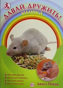 Купить Мышка — Фото №1