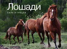 Купить Лошади. Сила и грация — Фото №1