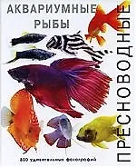 Купить Аквар.Пресноводные аквариумные рыбы — Фото №1