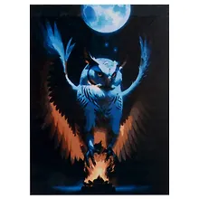 Купить Холст с красками по номерам "Ночной полет", 30 х 40 см — Фото №1