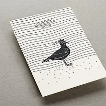 Купить Открытка, одинарная,  Чайка — Фото №1